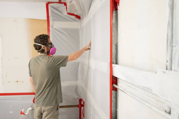 Best Emergency Mold Remediation  in Island Heights, NJ