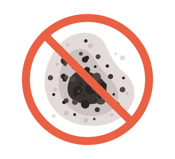 Best Black Mold Removal  in Island Heights, NJ