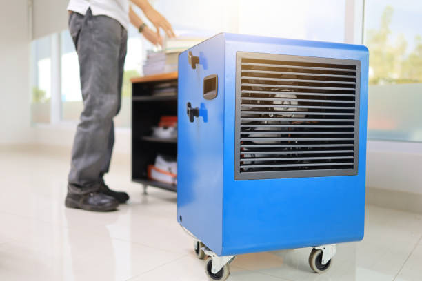 Professional Mold Removal in Island Heights, NJ
