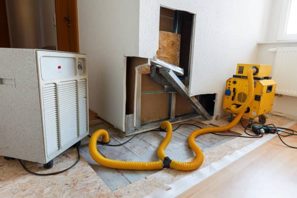 Best Post-Construction Mold Inspection  in Island Heights, NJ