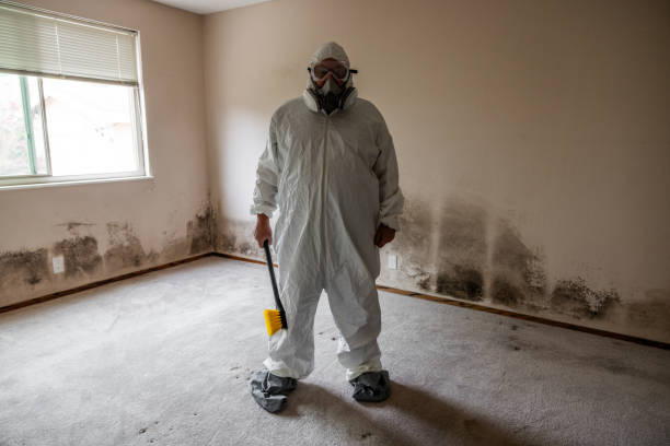 Best HVAC Mold Inspection and Cleaning  in Island Heights, NJ