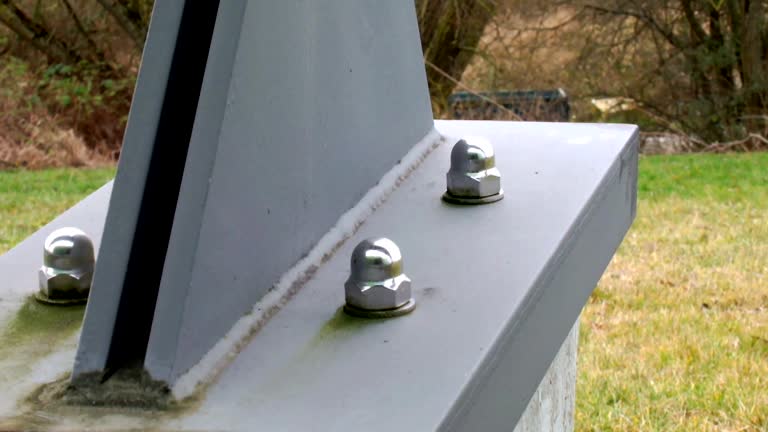 Best Attic Mold Removal  in Island Heights, NJ